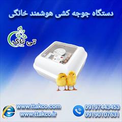 industry industrial-machinery industrial-machinery دستگاه جوجه کشی خانگی کوچک و اتوماتیگ 09199762163