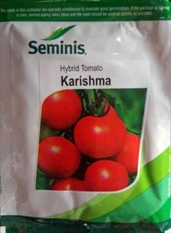 industry agriculture agriculture قیمت بذر گوجه فرنگی بریویو سمینس 