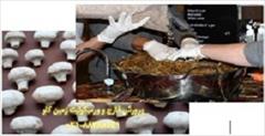 industry mine mine ورمیکولیت-پرورش قارچ