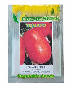 industry agriculture agriculture فروش بذر گوجه میان رس لئونارد
