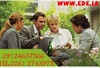 services internet internet طرلاحی وب سایت-خدمات هاستینگ-ثبت رایگان