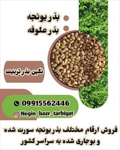 industry agriculture agriculture قیمت فروش بذر یونجه ، شبدر و اسپرس 