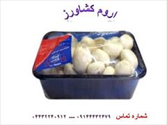 industry packaging-printing-advertising packaging-printing-advertising ظروف بسته بندی قارچ 