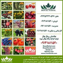 industry agriculture agriculture خرید نهال|قیمت نهال|نهالستان رویال نهال