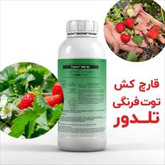 industry agriculture agriculture خرید سم قارچ‌کش تلدور Teldor برای پرورش توت فرنگی