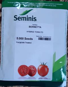 industry agriculture agriculture توزیع و فروش بذر گوجه برنتا سمینیس