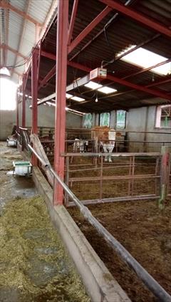 industry livestock-fish-poultry livestock-fish-poultry گرمایش دامداری