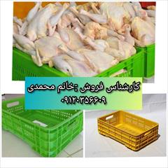 industry other-industries other-industries تولید انواع سبد مرغ - سبد کشتارگاهی