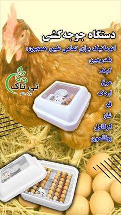 industry livestock-fish-poultry livestock-fish-poultry دستگاه جوجه کشی 09190107631