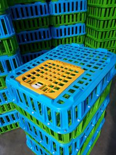 industry packaging-printing-advertising packaging-printing-advertising قیمت قفس حمل مرغ زنده قفس ماشین مرغی