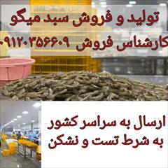 industry livestock-fish-poultry livestock-fish-poultry فروش سبد آبزیان _ سبد میگو _ سبد شمش 