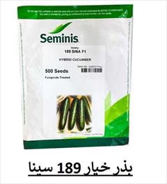 industry agriculture agriculture بذر خیار 189 SINA F1 سمینیس ، بذر درجه 1