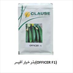 industry agriculture agriculture فروش بذر خیار آفیسر( خیارOFFICER F1) کلوز فرانسه
