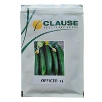 industry agriculture agriculture بذر خیار آفیسر کلوز 