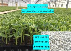 industry agriculture agriculture پرلیت مناسب کشت و پرورش بوته خیار