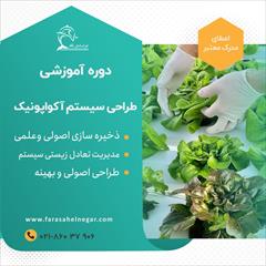 services educational educational دوره آموزشی پرورش توام ماهی با گیاه در گلخانه