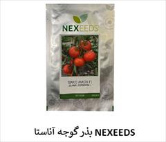 industry agriculture agriculture فروش بذر گوجه آناستا NEXEEDS، بذر گوجه درجه 1