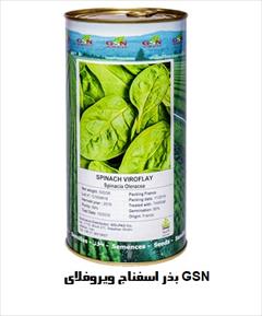industry agriculture agriculture فروش بذر اسفناج ویروفلای GSN