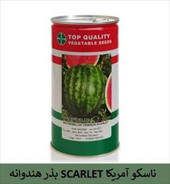 industry agriculture agriculture فروش بذر هندوانه SCARLET ناسکو آمریکا
