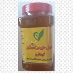 services health-beauty-services health-beauty-services عسل طبيعي سبلان گيدارو
