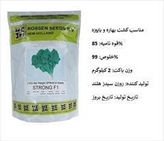 industry agriculture agriculture بذر اسفناج STRONG F1 روزن سیدز، فروش و ارسال