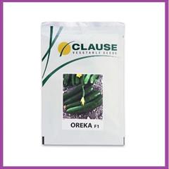 industry agriculture agriculture فروش بذر خیار اورکا کلوز فرانسه ، بذر خیار درجه یک