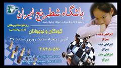 services educational educational آموزش شطرنج،مدرسه شطرنج| باشگاه شطرنج ایران