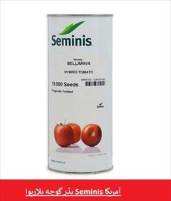 industry agriculture agriculture  فروش بذر گوجه بلاریوا Seminis آمریکا 
