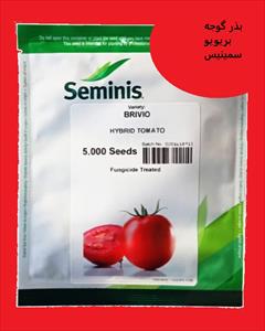 industry agriculture agriculture بذر گوجه Breivio Seminis- فروش و ارسال سراسری