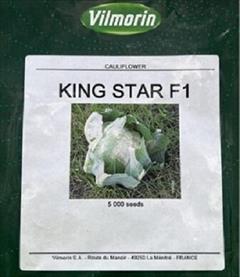 industry agriculture agriculture بذر گل کلم کینگ استار ویلمورین