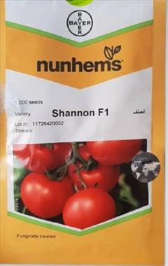 industry agriculture agriculture فروش بذر گوجه فرنگی شانون