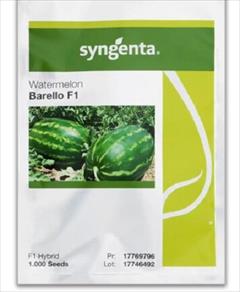 industry agriculture agriculture قیمت بذر هندوانه بارلو