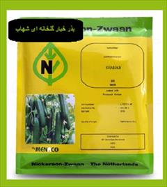 industry agriculture agriculture عرضه بذر خیار شهاب
