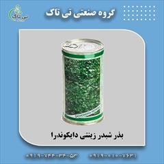 industry agriculture agriculture  بذر چمن شبدر زینتی دایکوندرا 09197443453