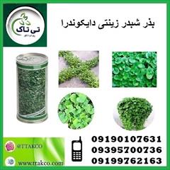 industry agriculture agriculture بذر چمن دایکوندرا  - 09395700736