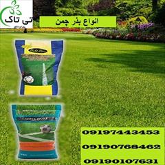 industry agriculture agriculture انواع بذر چمن ، قیمت و خرید بذر چمن - 09190768462