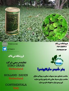 industry other-industries other-industries بذرچمن ، بذر چمن فوتبال 09199762163