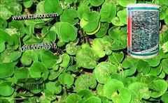 industry other-industries other-industries بذرچمن ، بذر چمن گرمسیری 09199762163