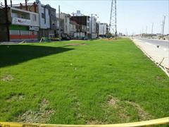 industry other-industries other-industries بذرچمن ، بذر چمن فوتبال 09199762163