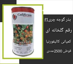 industry agriculture agriculture فروش بذر گوجه چری گلخانه ای هیبرید