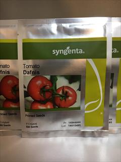 industry agriculture agriculture فروش بذر گوجه دافنیس سینجینتا 