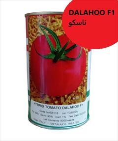 industry agriculture agriculture فروش بذر گوجه DALAHOO F1 ناسکو