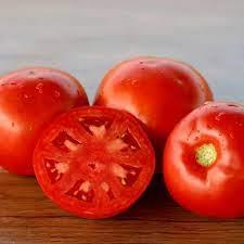 industry agriculture agriculture فروش و توزیع بذره گوجه لمنتین