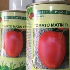 industry agriculture agriculture توزیع و فروش بذر گوجه متین