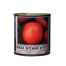 industry agriculture agriculture بذر گوجه رد استار RED STAR