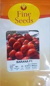 industry agriculture agriculture بذر گوجه فرنگی زودرس بارانا