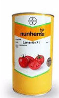 industry agriculture agriculture فروش بذر گوجه لمنتینf1 ...سانسید