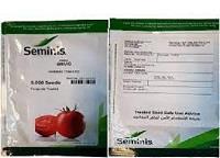 industry agriculture agriculture فروش بذر گوجه هیبرید بریویو