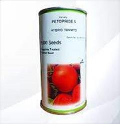 industry agriculture agriculture بذر گوجه پتوپراید 6 سمینیس