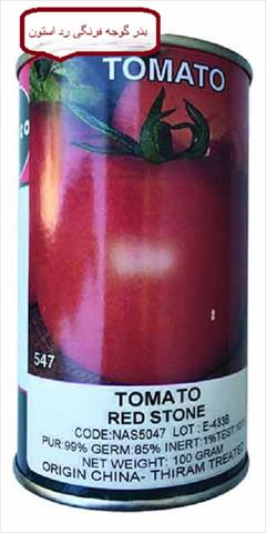 industry agriculture agriculture فروش بذر گوجه فرنگی رد استون